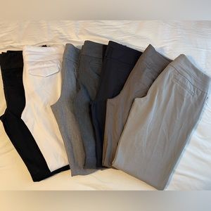 Express Editor 6R women’s dress pant(s)